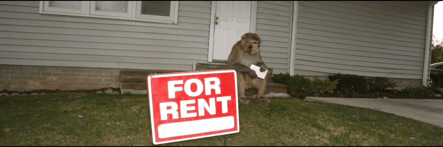 grainy amateur photo of a suburban house for rent, a macaque sits on the porch steps holding an unopened envelope, a red FOR RENT sign in the foreground lawn